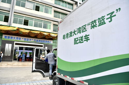 8月第一周，清遠城市配送關鍵詞聚焦“菜籃子”保障力